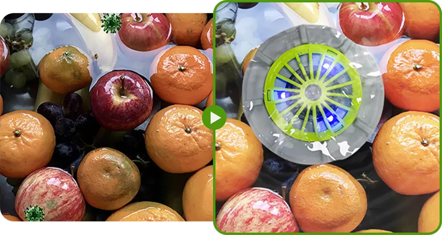 🍉🥬 Efficient Portable Fruit and Vegetable Washers Powerful Offer!