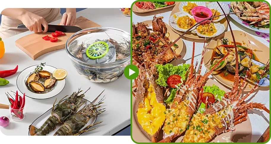 🍉🥬 Efficient Portable Fruit and Vegetable Washers Powerful Offer!