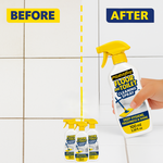 Floor and Toilet Cleaning Spray | BUY 1 GET 1 FREE